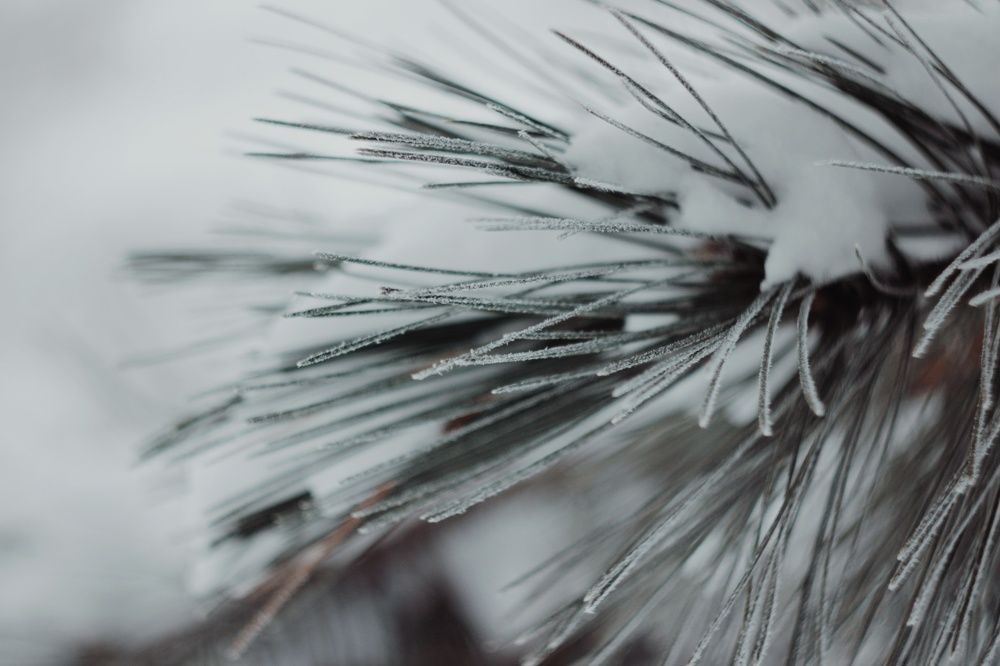 Photograph by Алёна Бондаренко