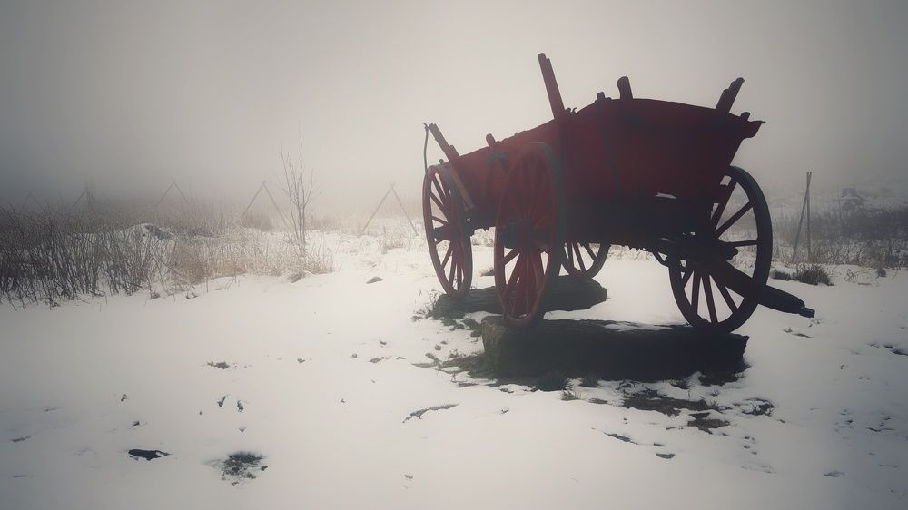 Photograph by Юлия Шмидт