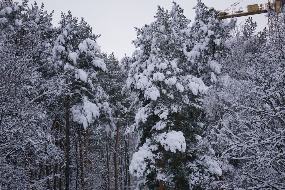 Photograph by Алфия Бугакова