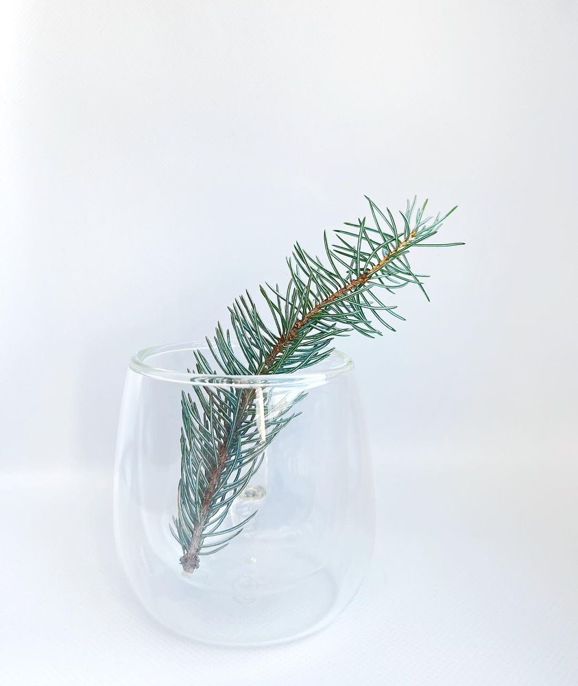 Photograph by Вера Рудик