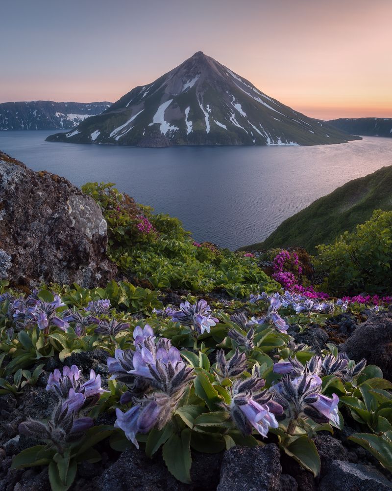 About a blooming volcano...