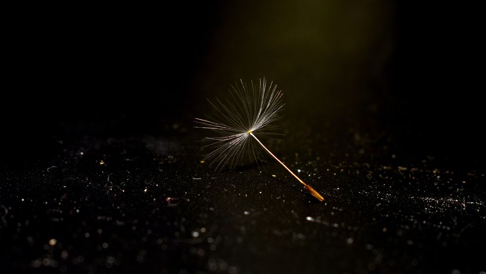 Незримое семя будущего / The invisible seed of the future