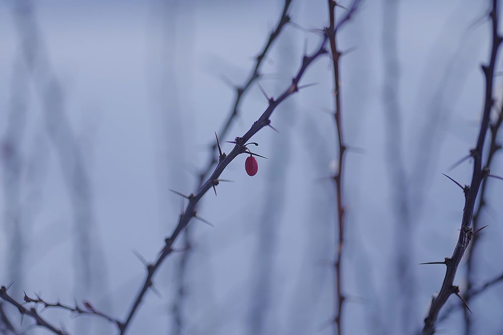 Фотография автора Виктор Конев