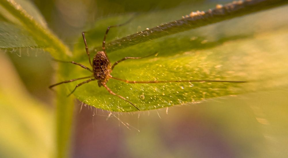 Photograph by Epp Tappel