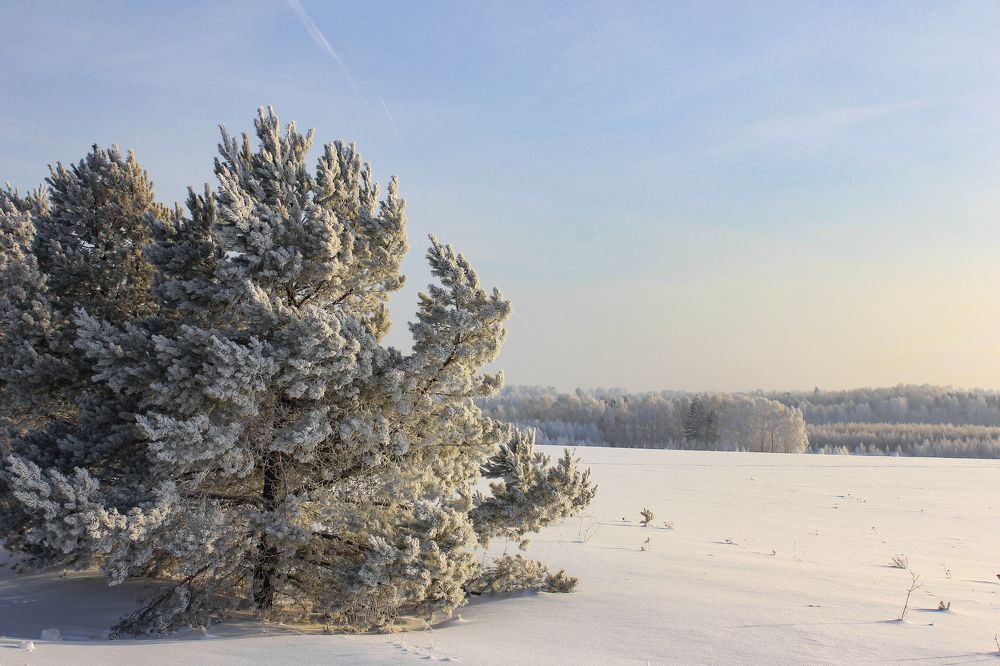 Photograph by Димитрий Осинцев