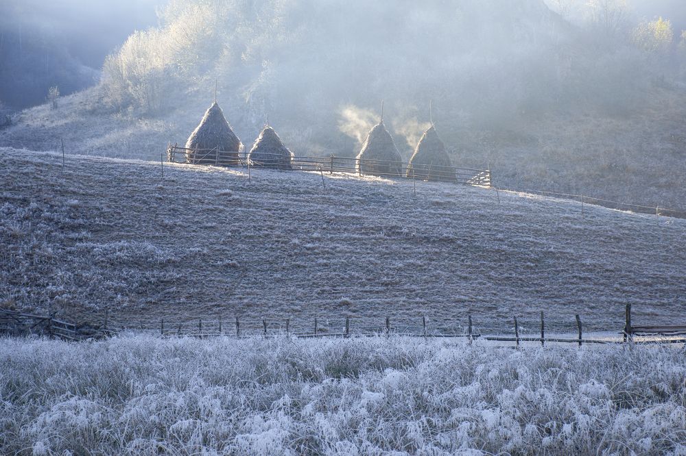 Фотография автора Ceausescu Adriana