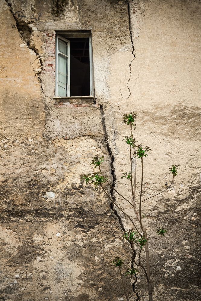 Photograph by Фирдаус Карипова