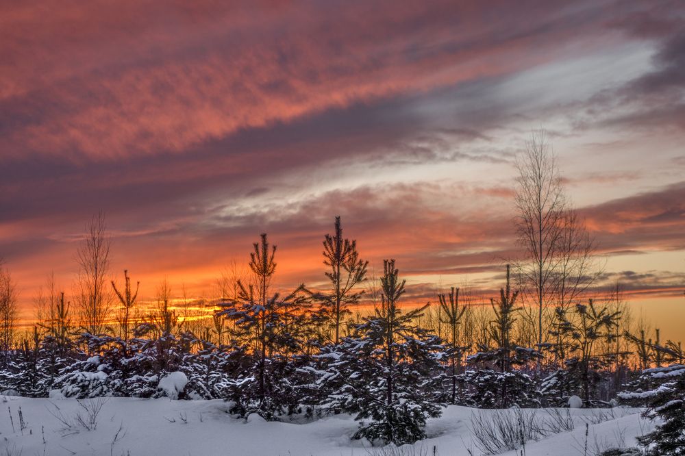 «РОЖДЕСТВЕНСКИЙ ВЕЧЕР»