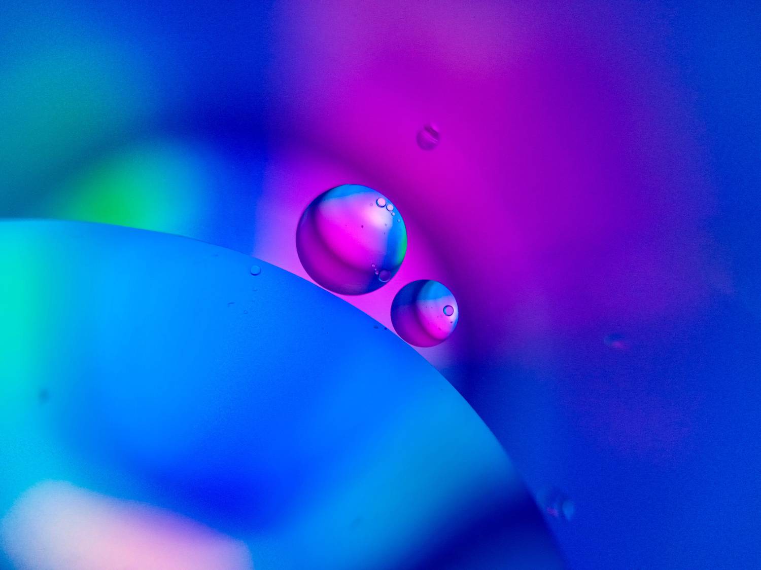Photo #7088091