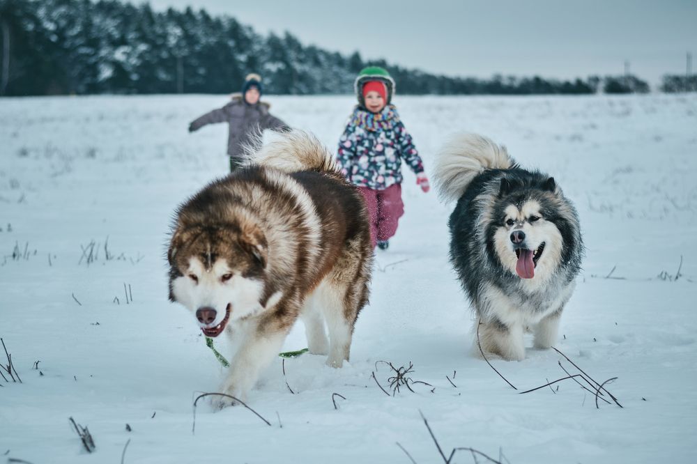 Photograph by Валерий Зенович