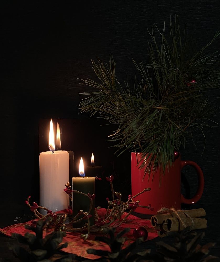 Photograph by Светлана