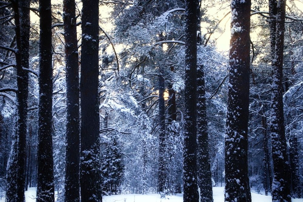 Photograph by Olga Asson