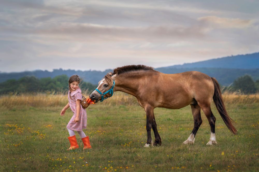 Фотография автора Kiss Aurora Minna