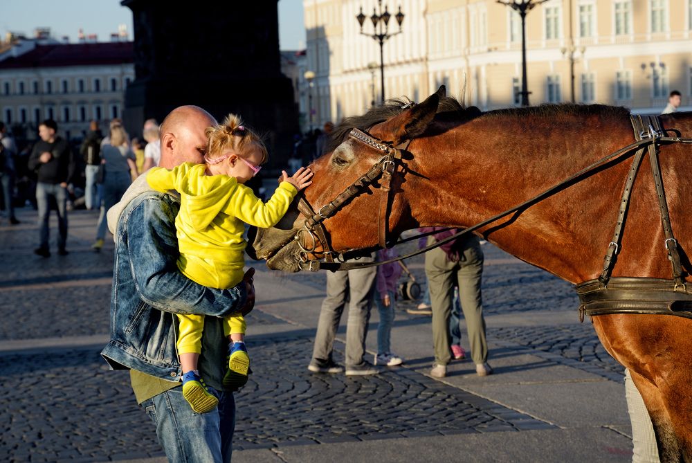 Photograph by Александр Клопков