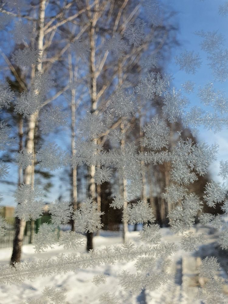 Photograph by Дьяченко Нина