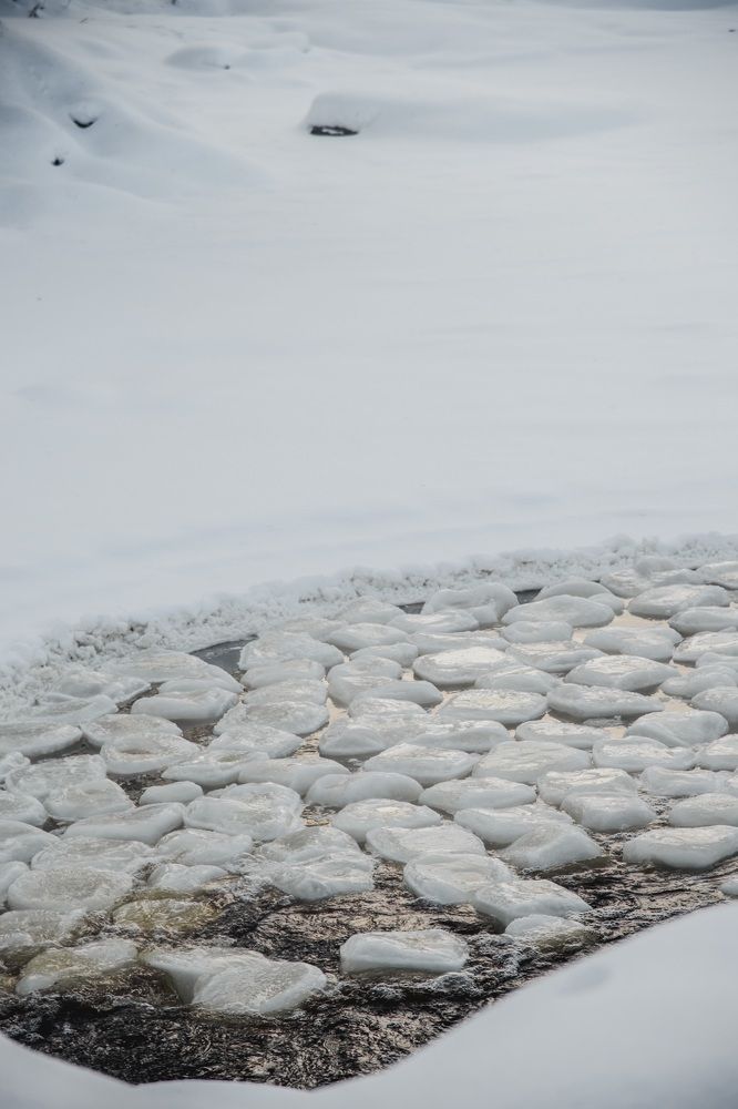 Photograph by Olga Nebelskaya