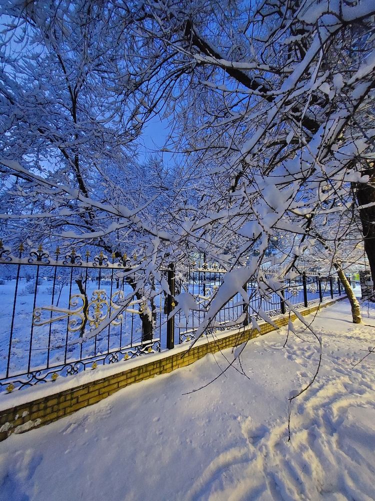 Фотография автора Алексей Воронкин