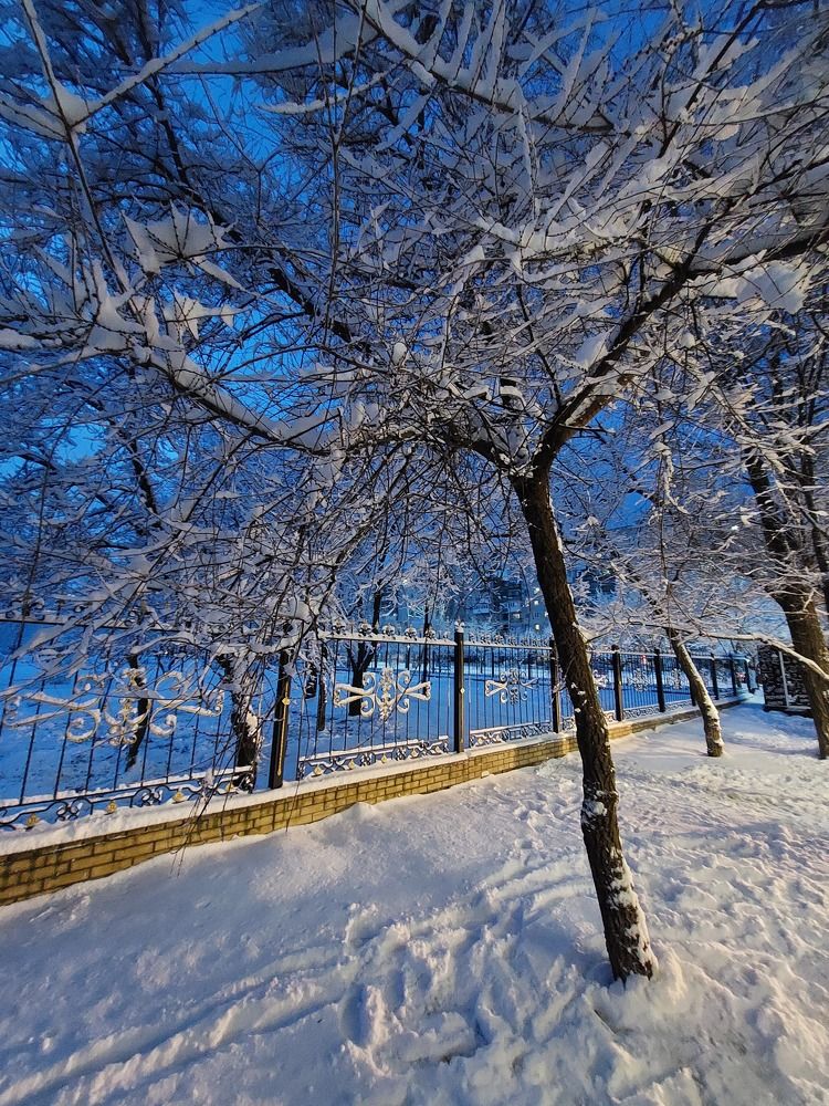 Фотография автора Алексей Воронкин