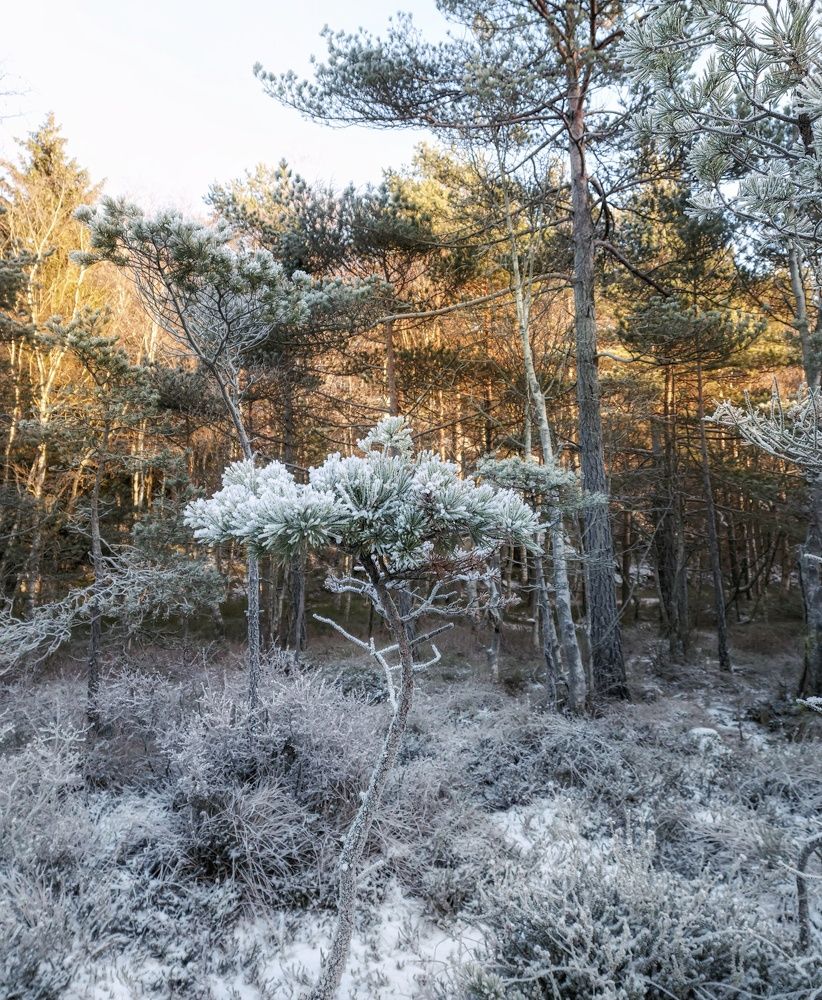 Фотография автора Alina Filimonova