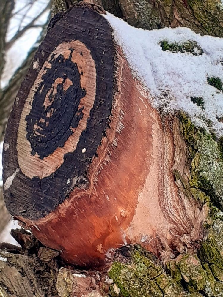 Photograph by Евгения Ульянова