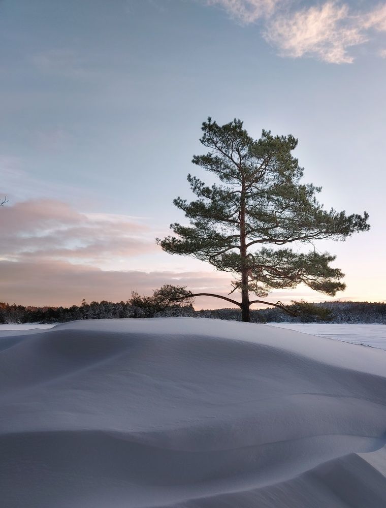 Фотография автора Alina Filimonova