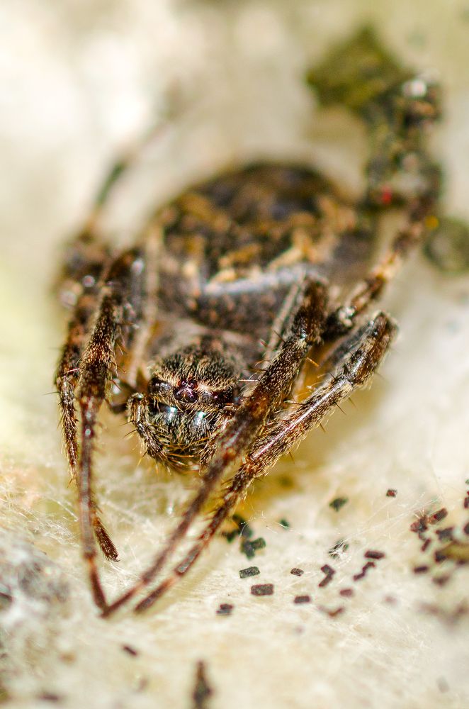 Photograph by Евгений Каримов