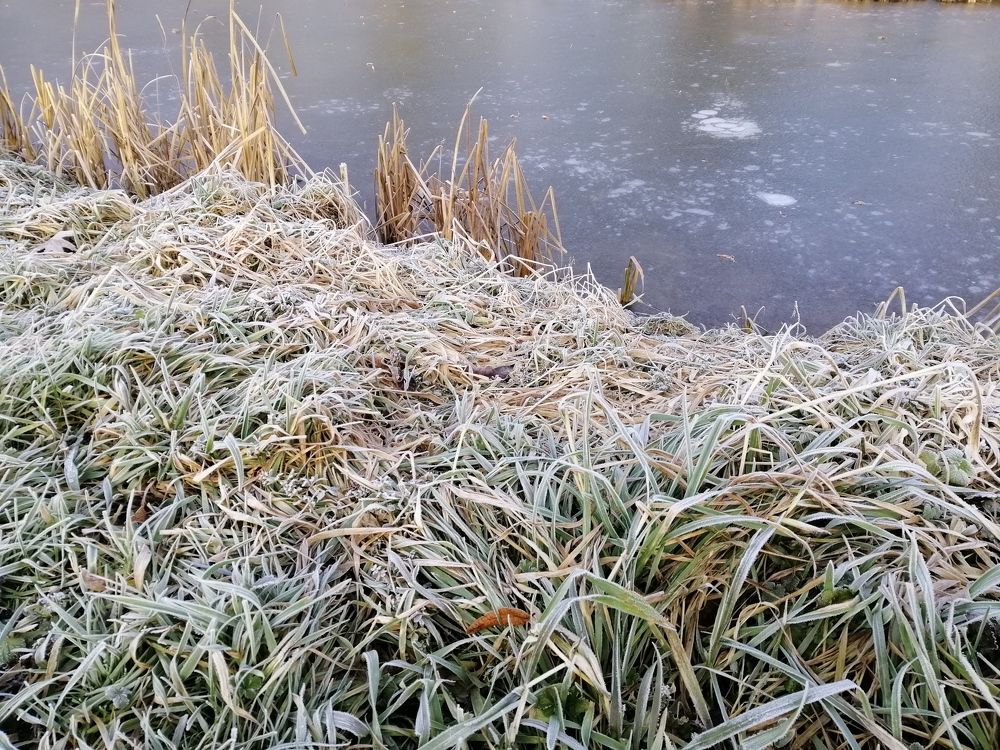 Фотография автора Алексей Воронкин