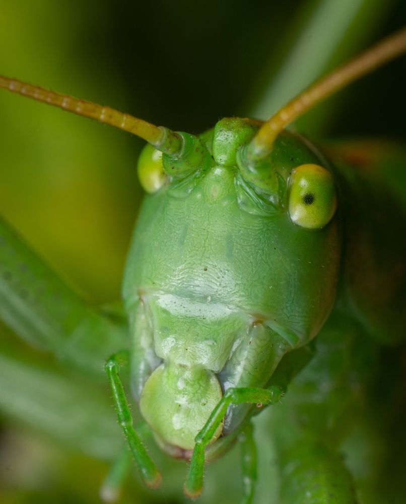 Photograph by Дмитрий Колеватов