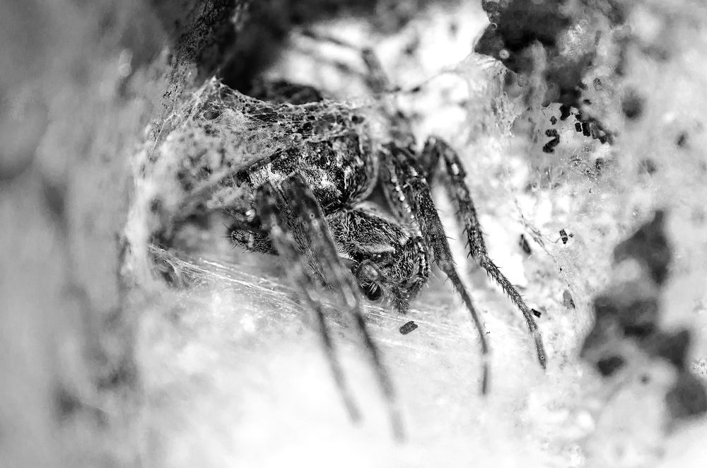 Photograph by Евгений Каримов