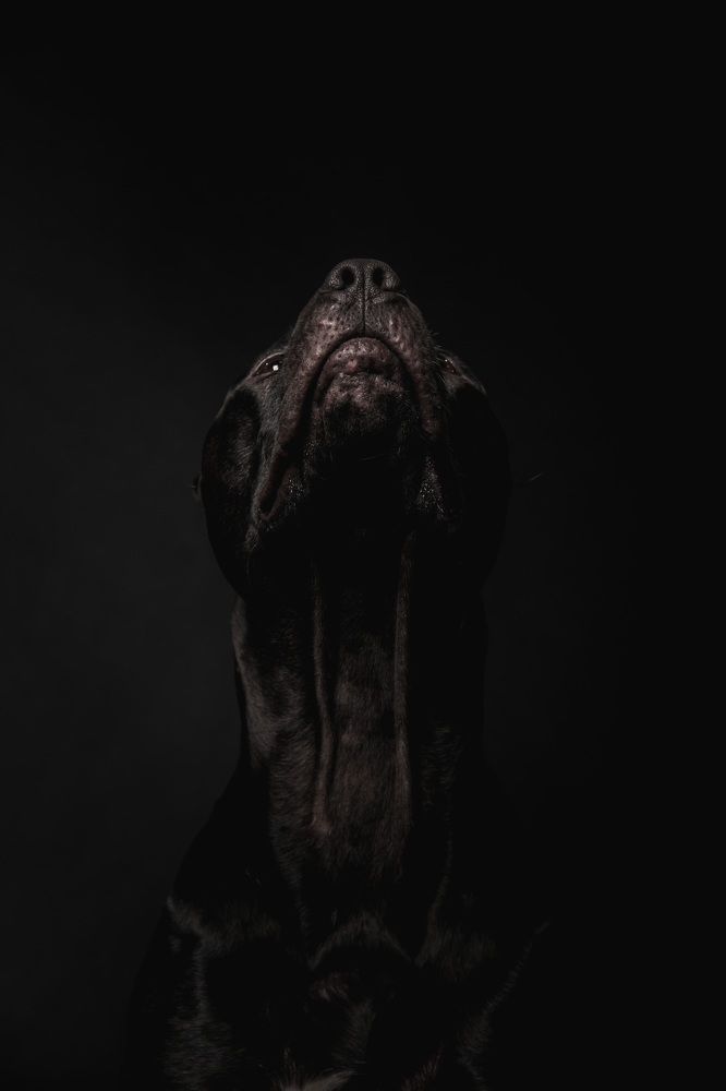 Photograph by Olga Nebelskaya