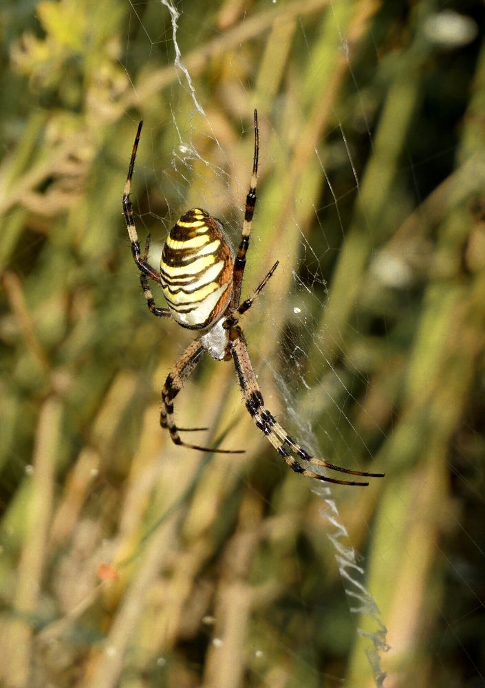 Photograph by Ави Христова