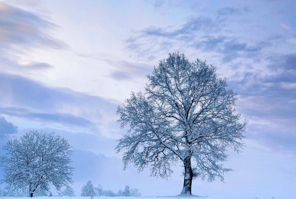 Photograph by Инна Макарчук