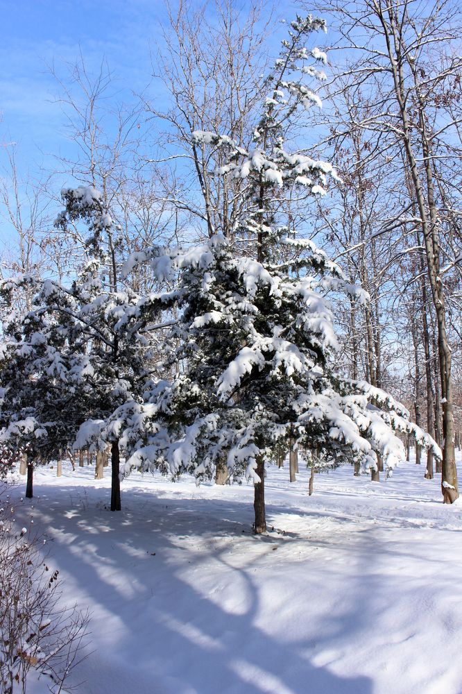 Photograph by Inessa Botasheva