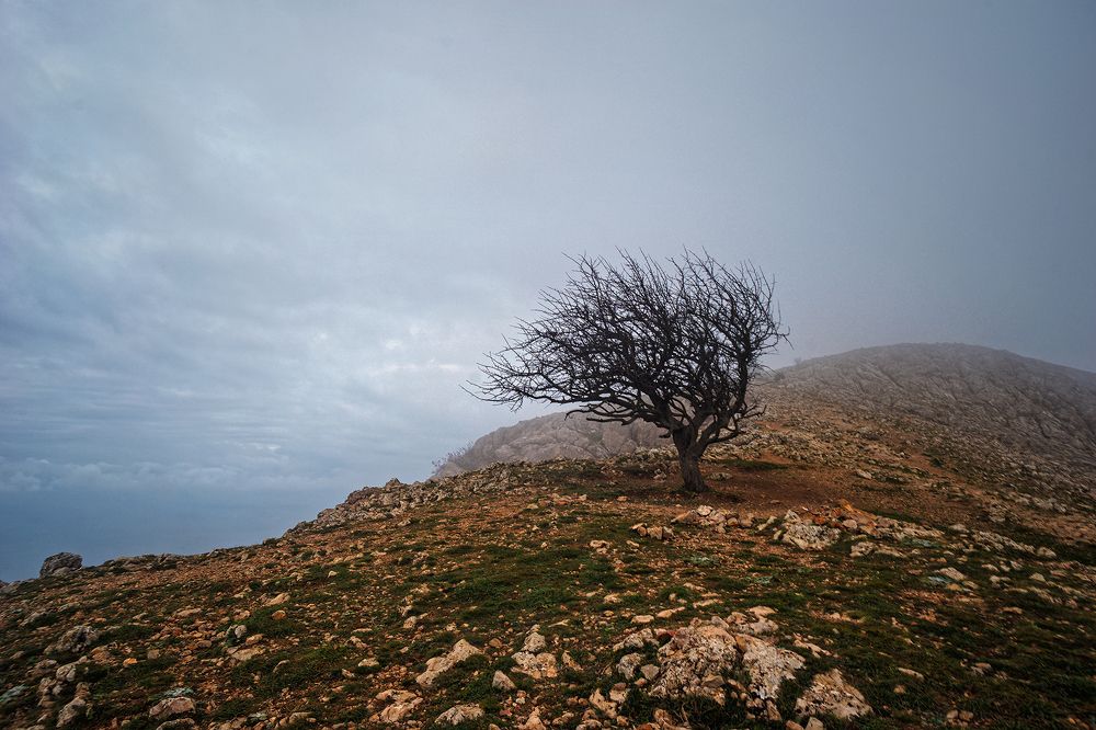 Photograph by Дмитрий Цыпляев