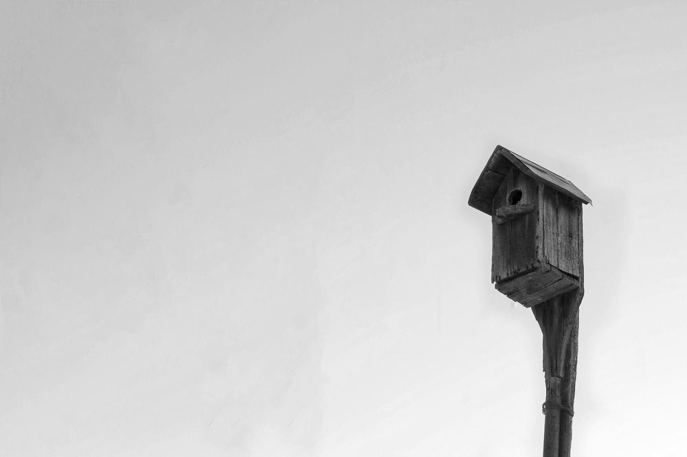 Photograph by Юния Пантелеева