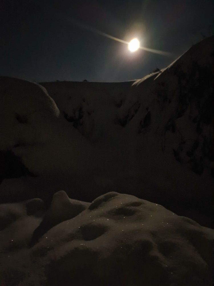 Photograph by Сергей Мамалюк