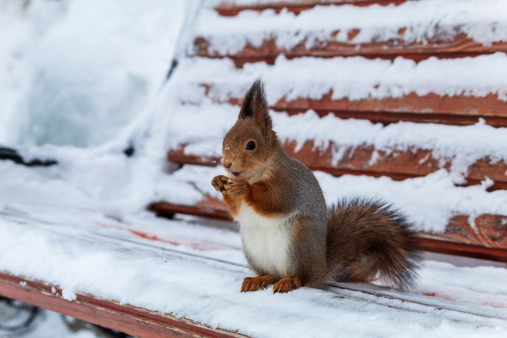 Photograph by Дмитрий