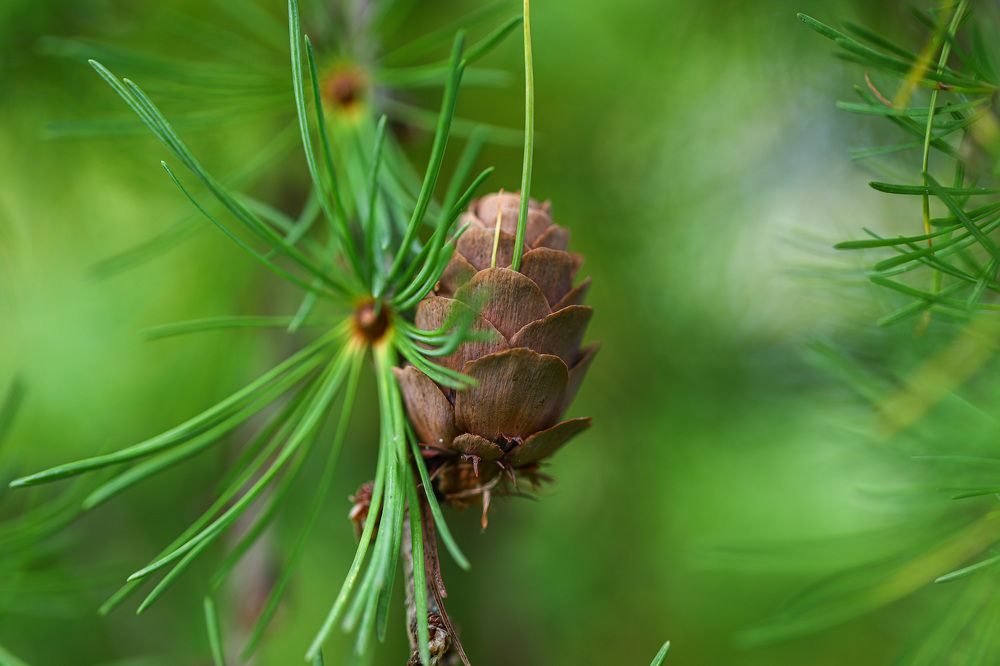 Photograph by Ingrida Pukaite