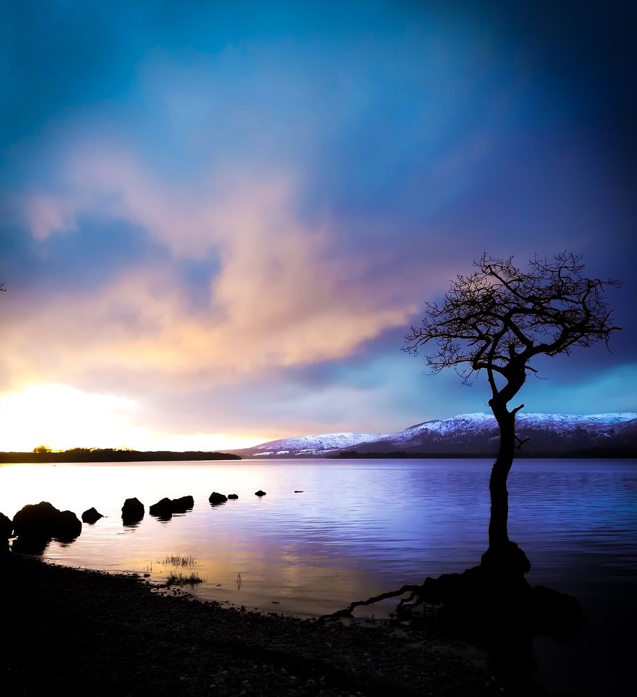 Photograph by Lynne Hunter