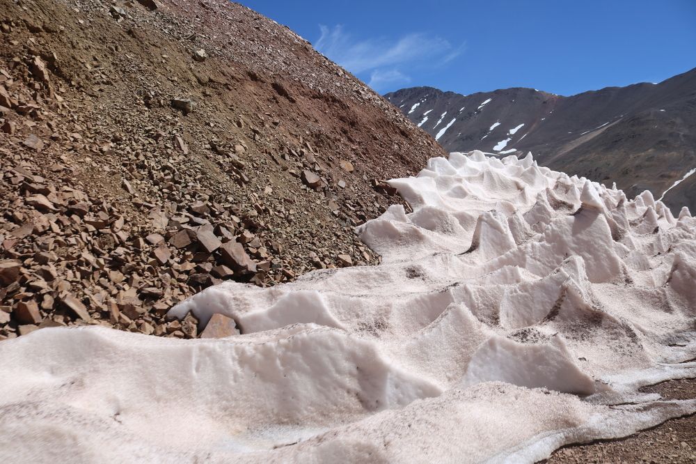 Photograph by Patricia Delionardis