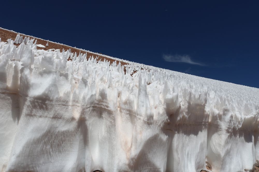 Photograph by Patricia Delionardis