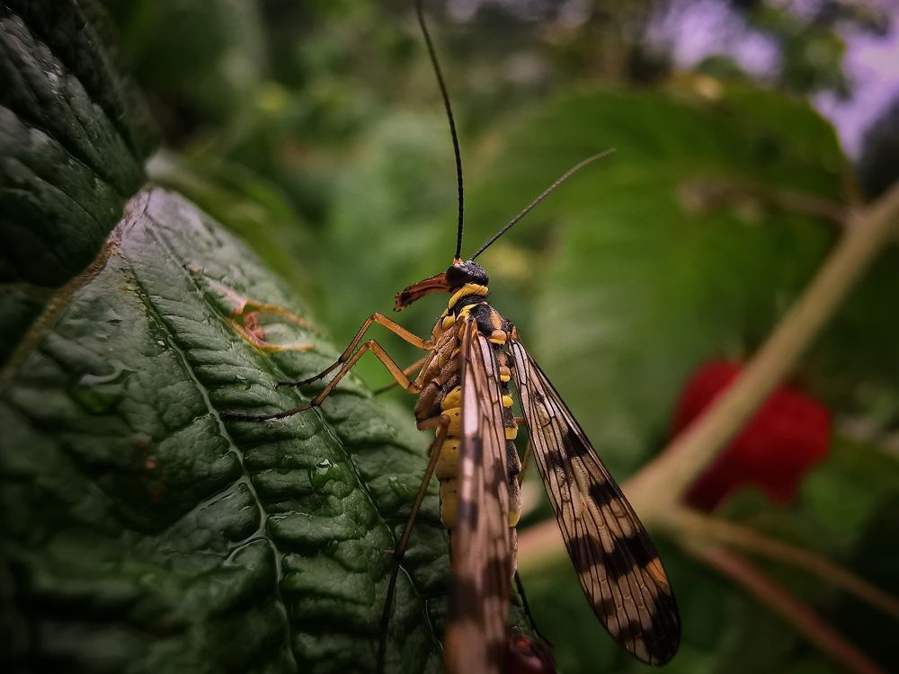 Photograph by Мария Колоскова