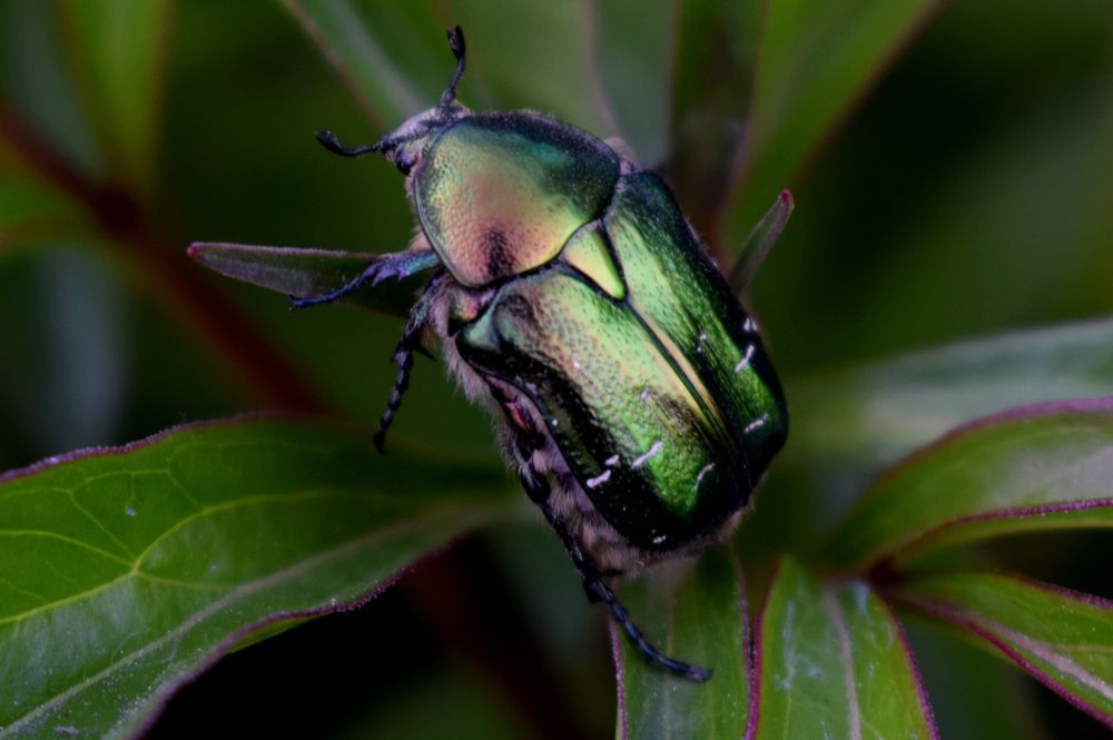 Photograph by Татьяна Дорожко