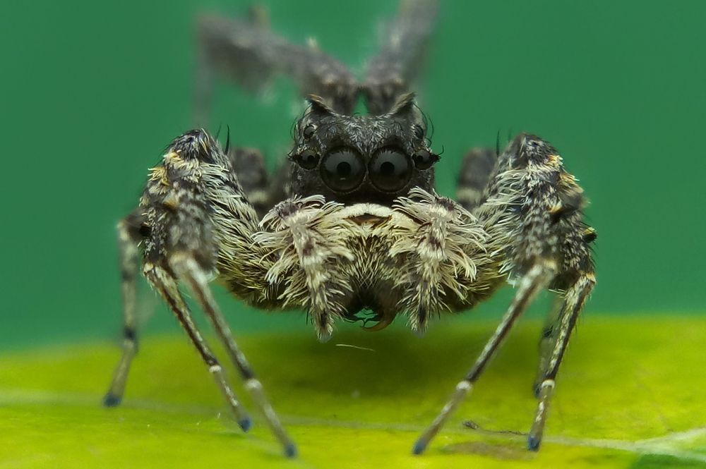 Photograph by sepni juhansah