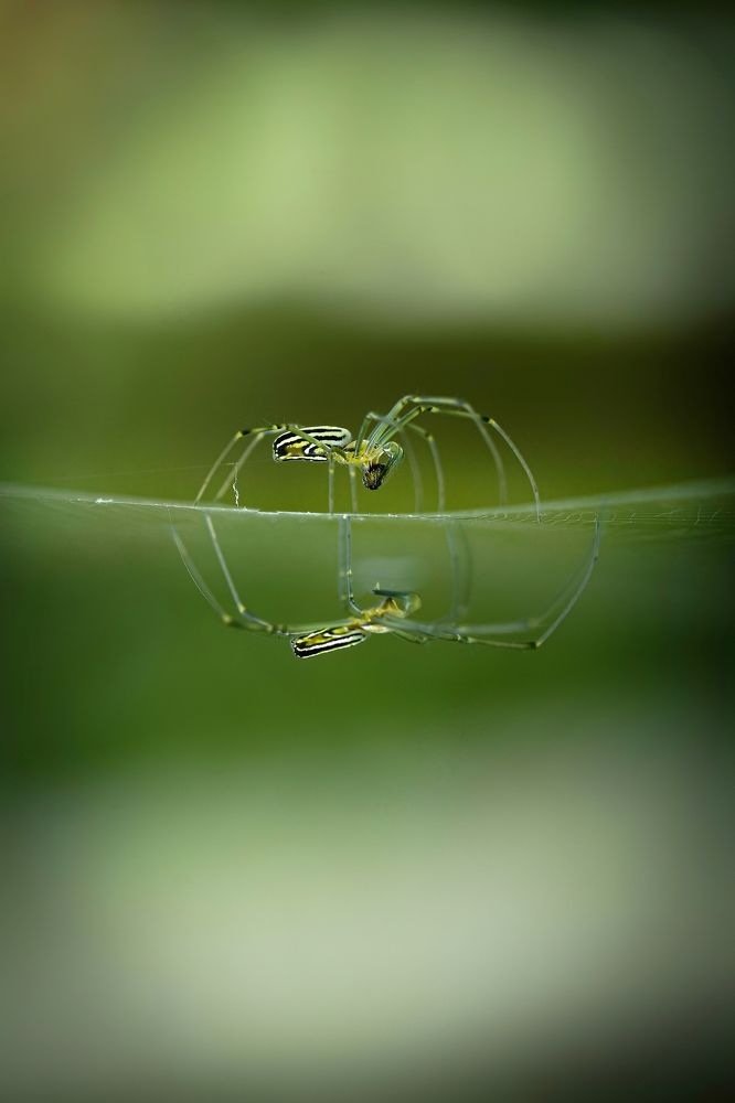 Photograph by sepni juhansah