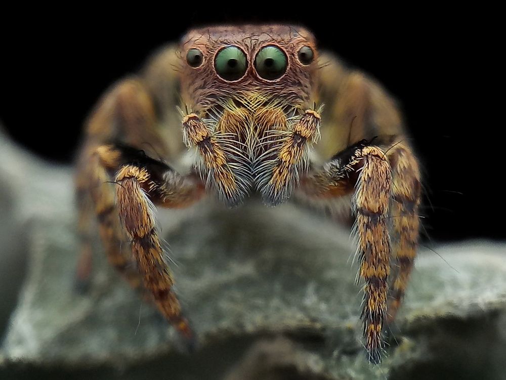 Photograph by sepni juhansah