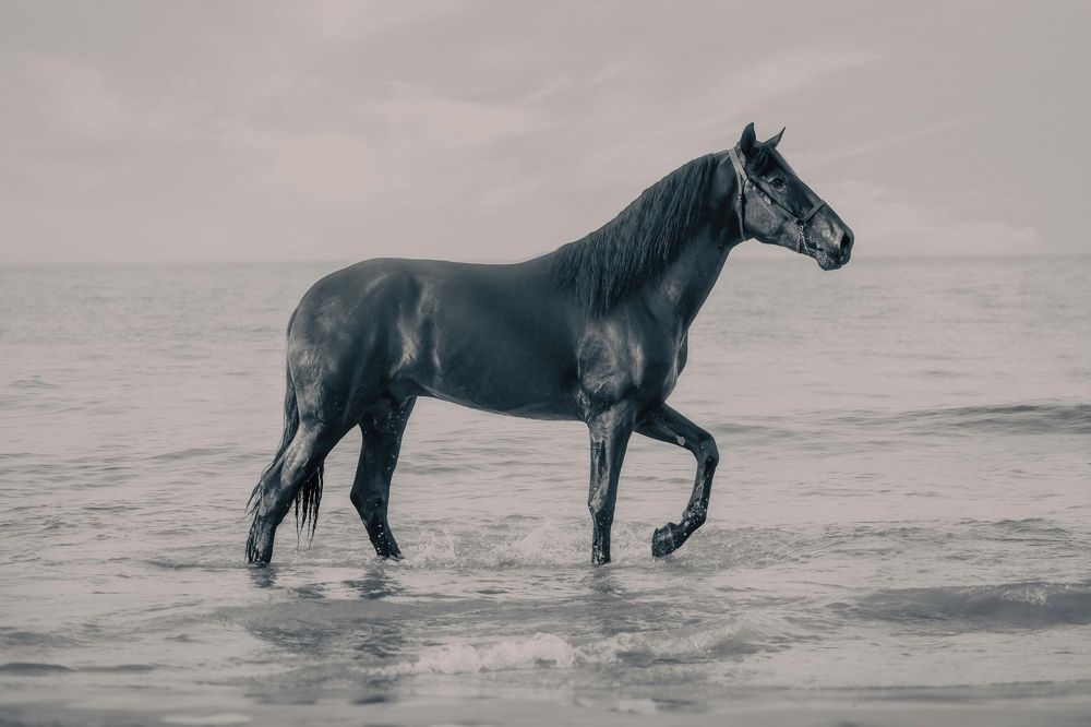 Photograph by Katerina Pustoshnaia