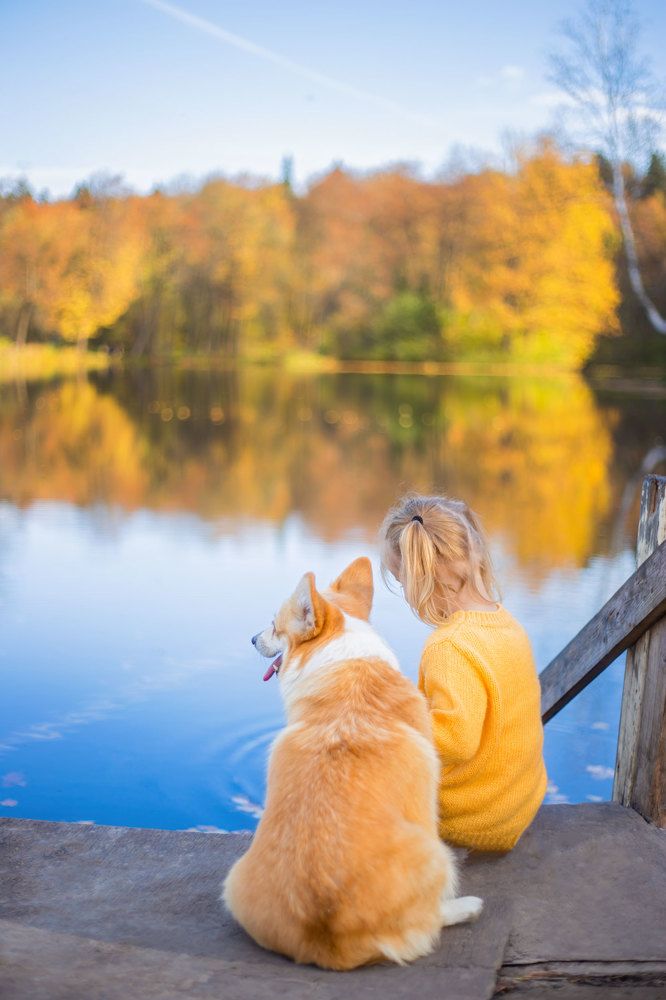 Photograph by Тамара Лисицына