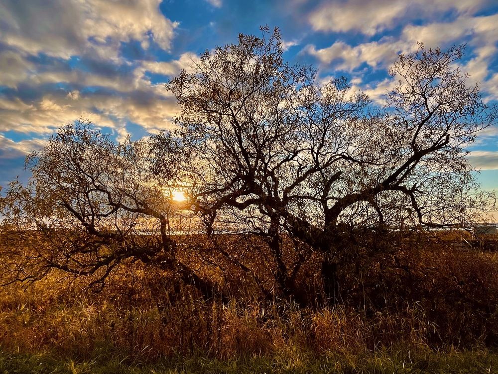 Photograph by Наталья Левашова