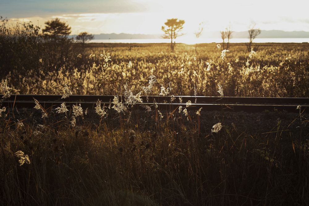 Photograph by Наталья Левашова